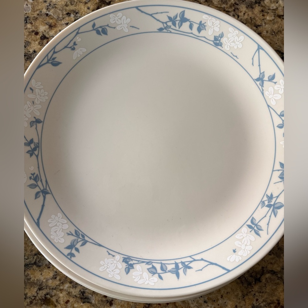 Corelle by Corning First of Spring 4 Dinner Plates